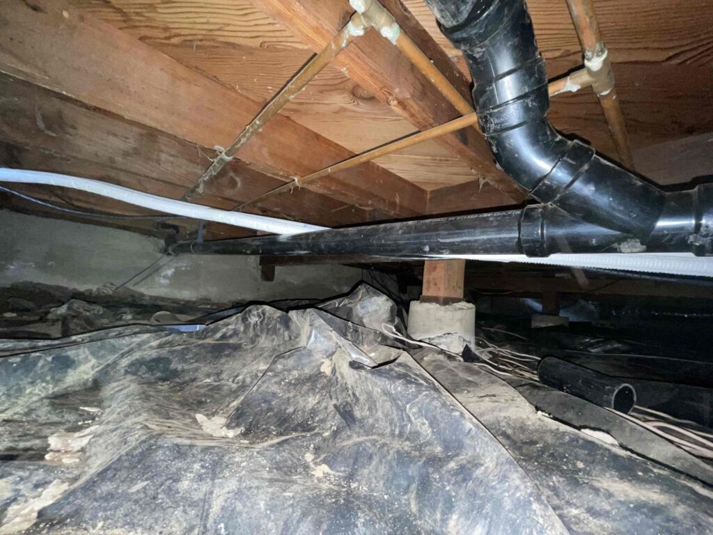 After Project Photo