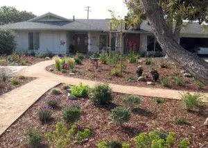Ways Save Water Around The House 3 Watercon