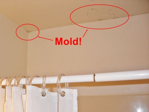 I found mold in the bathroom - what should I do?