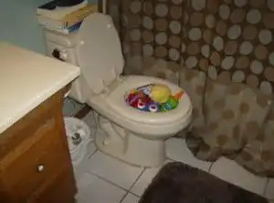 How To Unclog A Toilet 6 Toilet1 300X223 1