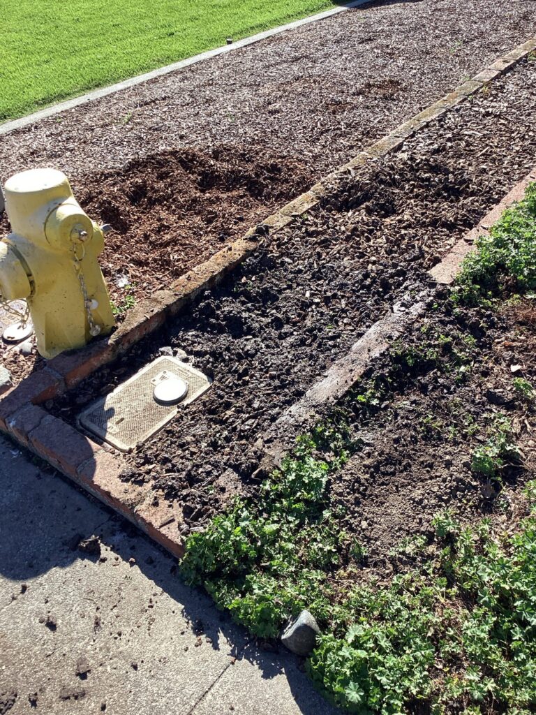 After Project Photo