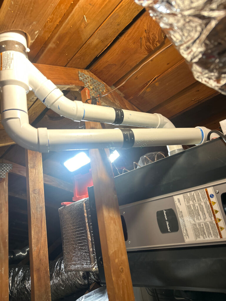 After Project Photo