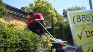Drain Cleaning And Repair Santa Rosa