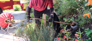 Why Does My Drain Smell Like Rotten Eggs? (And When It'S A Sewer Gas Emergency) 2 Drain Cleaning Services Santa Rosa