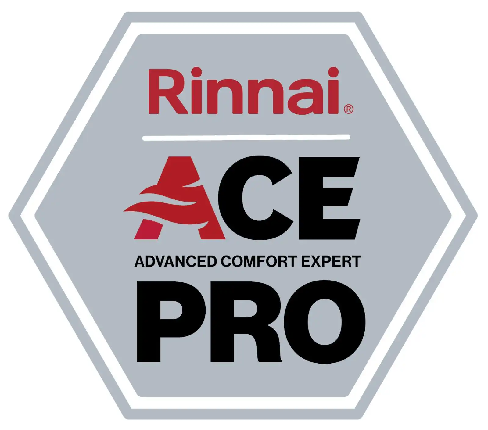 Rinnai Ace Pro