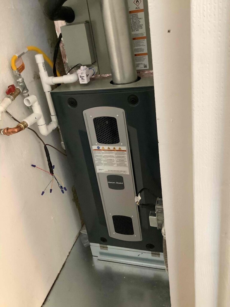 After Project Photo