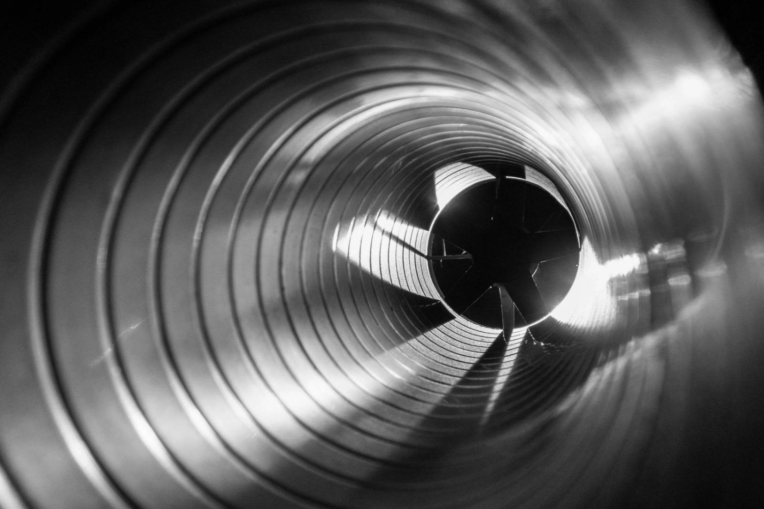 WhatsApp Image 2025-01-31 at 11.01.57 PM